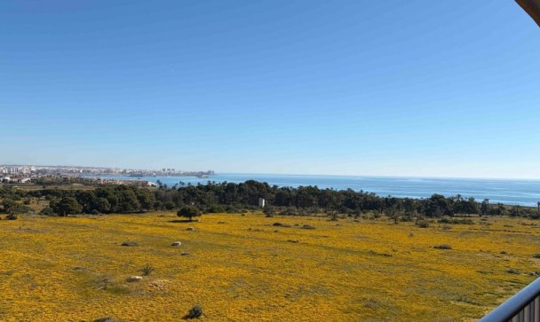 apartment - Resale - Orihuela - Punta Prima