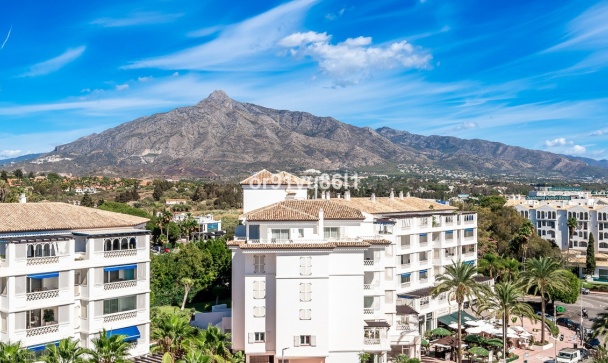 apartment - Rynek wtórny - Marbella - Puerto Banús