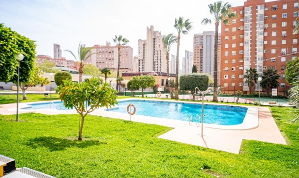 apartment - Wiederverkauf - Benidorm - Benidorm Centro