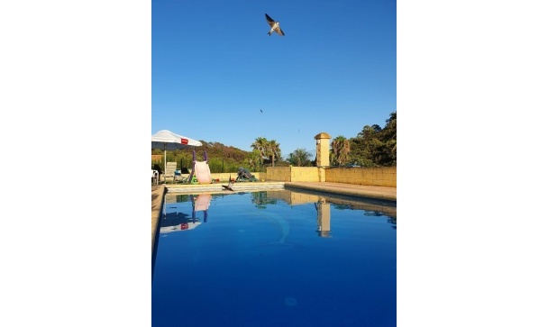 Country house - Resale - Estepona - Estepona Centro