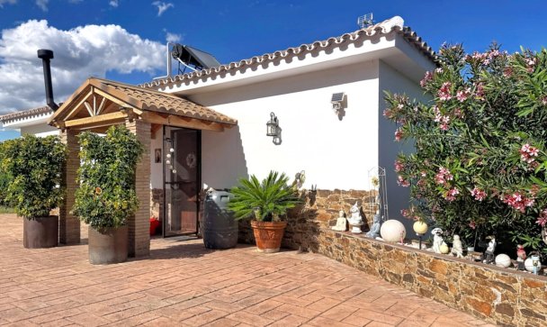 Country house - Rynek wtórny - Estepona - Estepona Centro