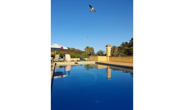 Country house - Rynek wtórny - Estepona - Estepona Centro