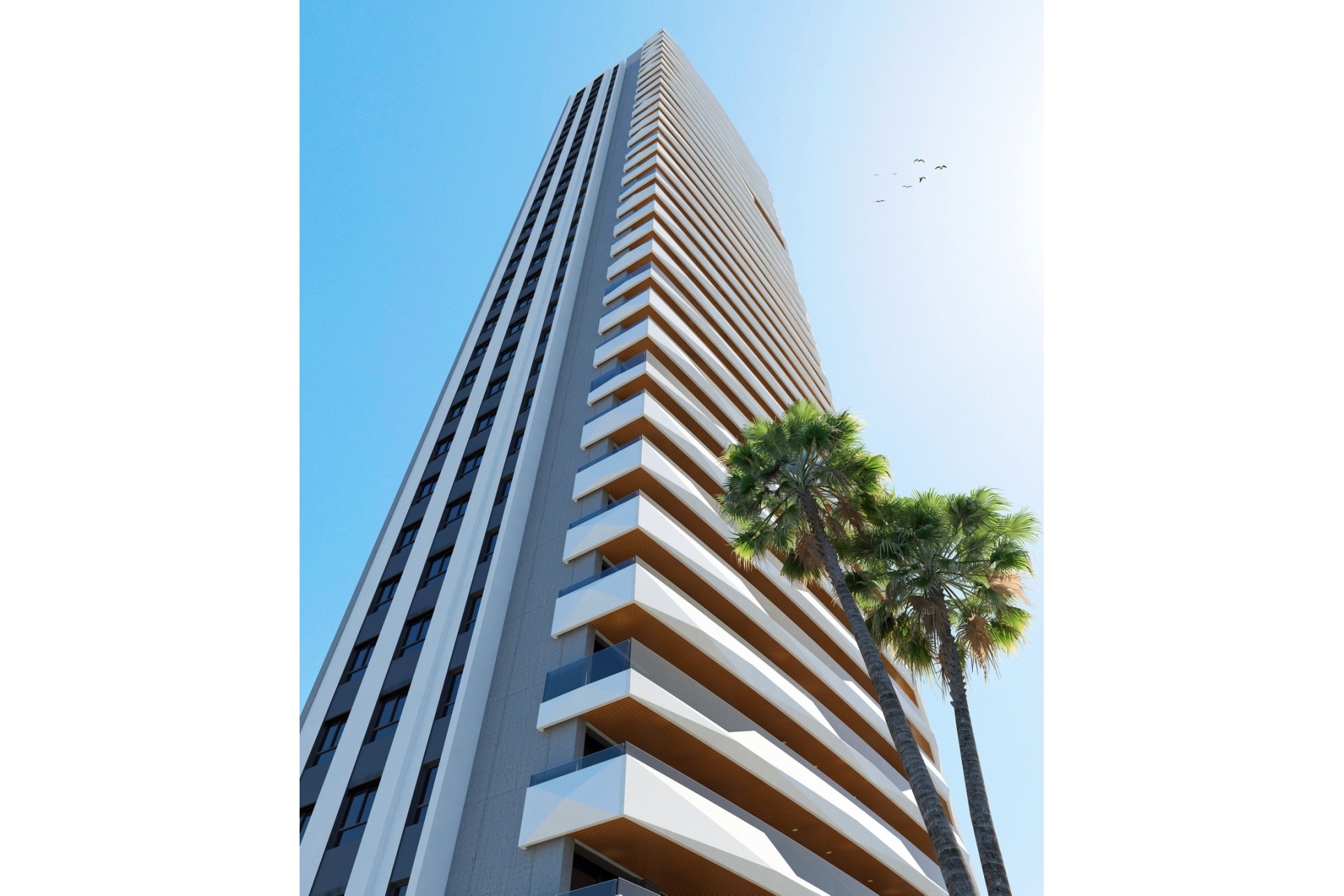 Neue Gebäude - apartment - Benidorm - Benidorm Centro