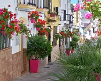 Neue Gebäude - apartment - Estepona - Estepona Centro