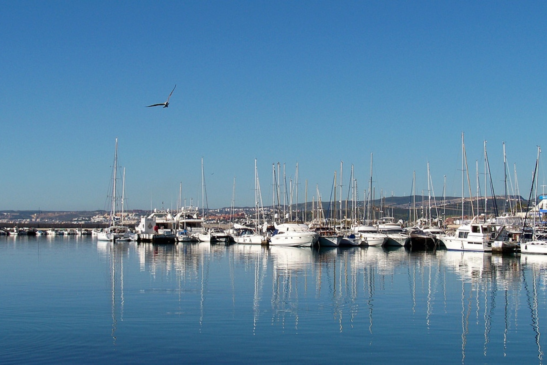 Neue Gebäude - apartment - Estepona - Estepona Centro
