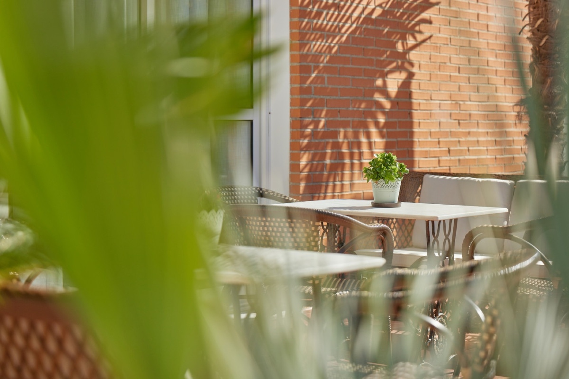 Neue Gebäude - apartment - L'Alfás del Pi - L'Alfás del Pi Centro