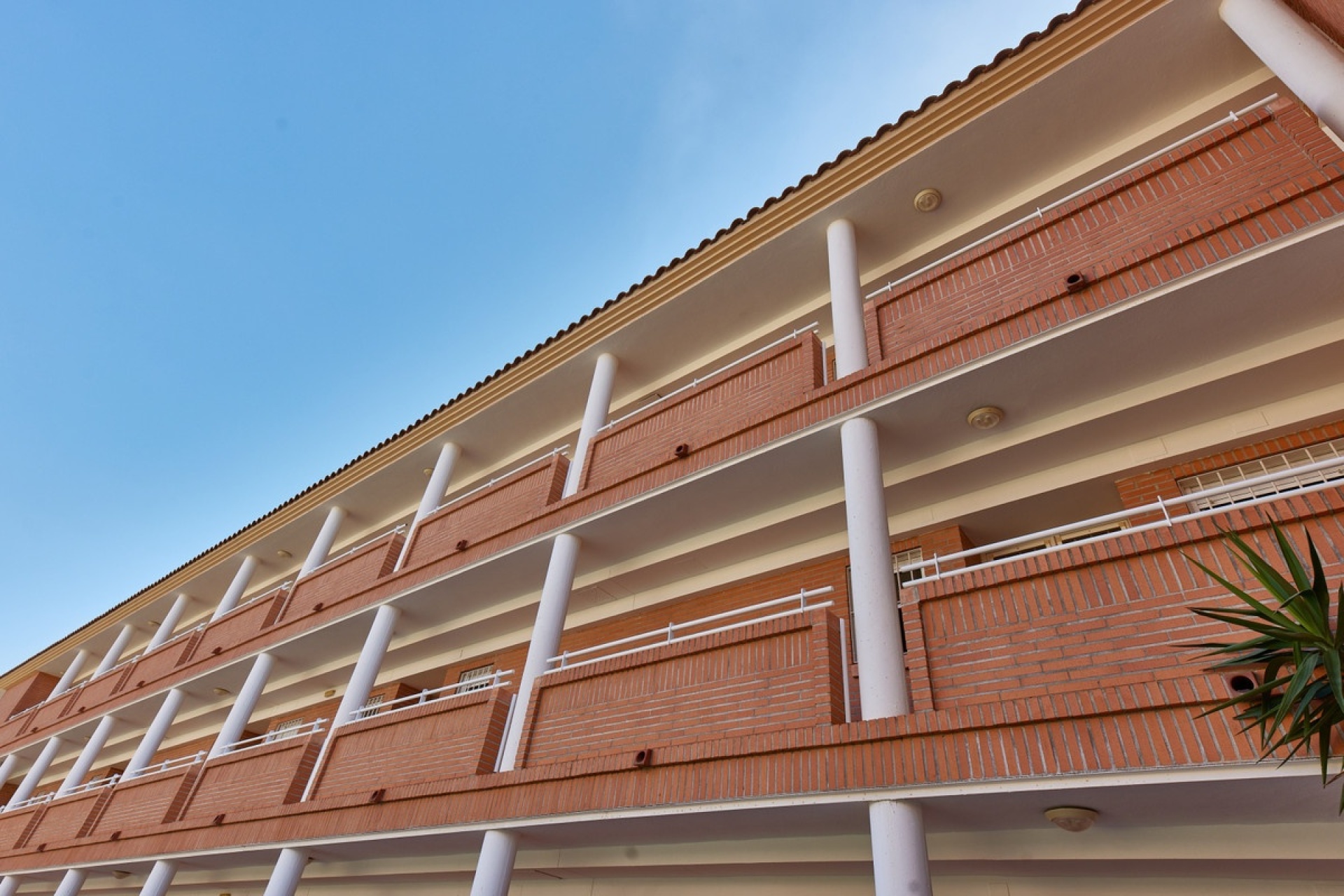 Neue Gebäude - apartment - L'Alfás del Pi - L'Alfás del Pi Centro