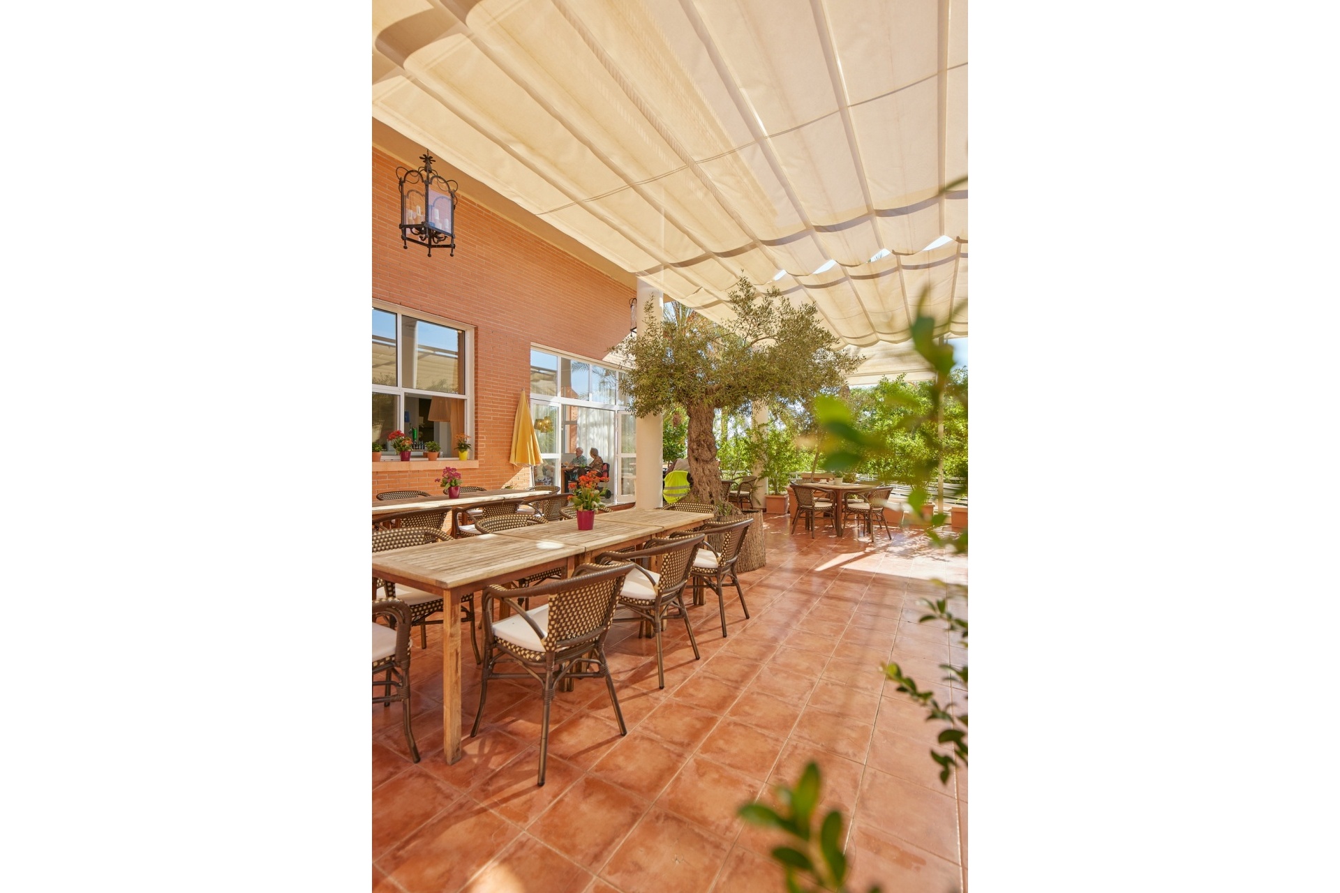 Neue Gebäude - apartment - L'Alfás del Pi - L'Alfás del Pi Centro