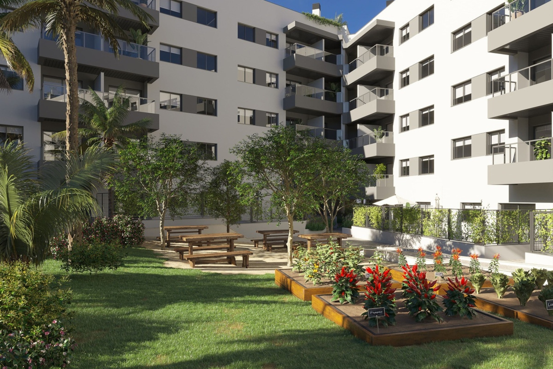 Neue Gebäude - apartment - Mijas - Mijas Centro