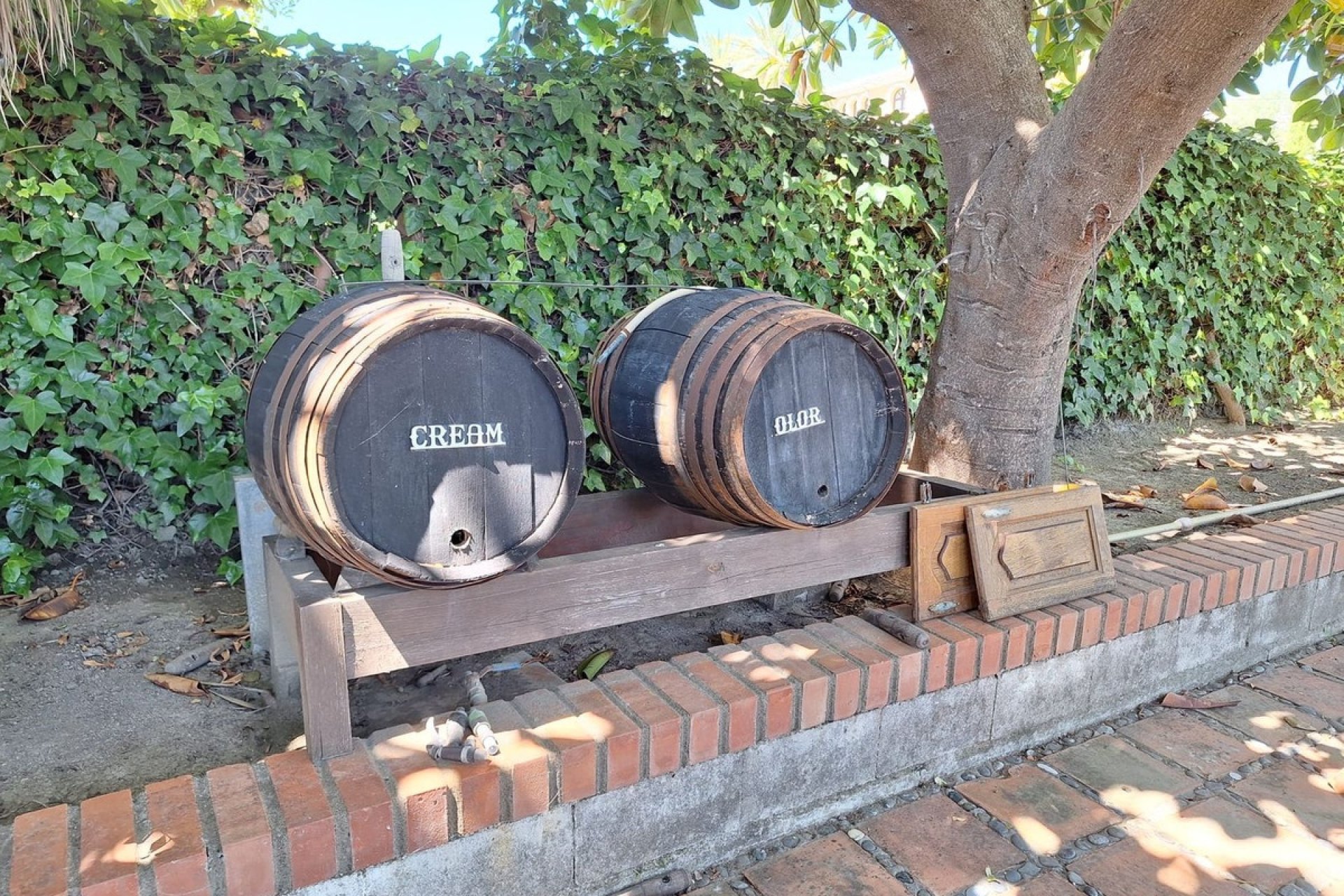 Neue Gebäude - Country house - Estepona - Estepona Centro