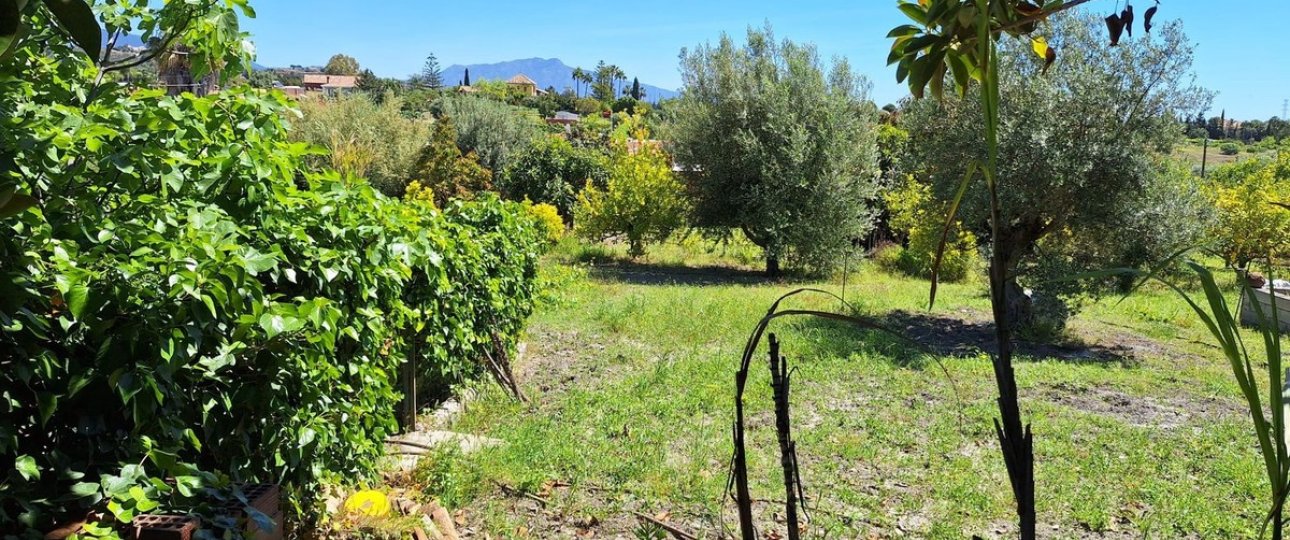 Neue Gebäude - Country house - Estepona - Estepona Centro