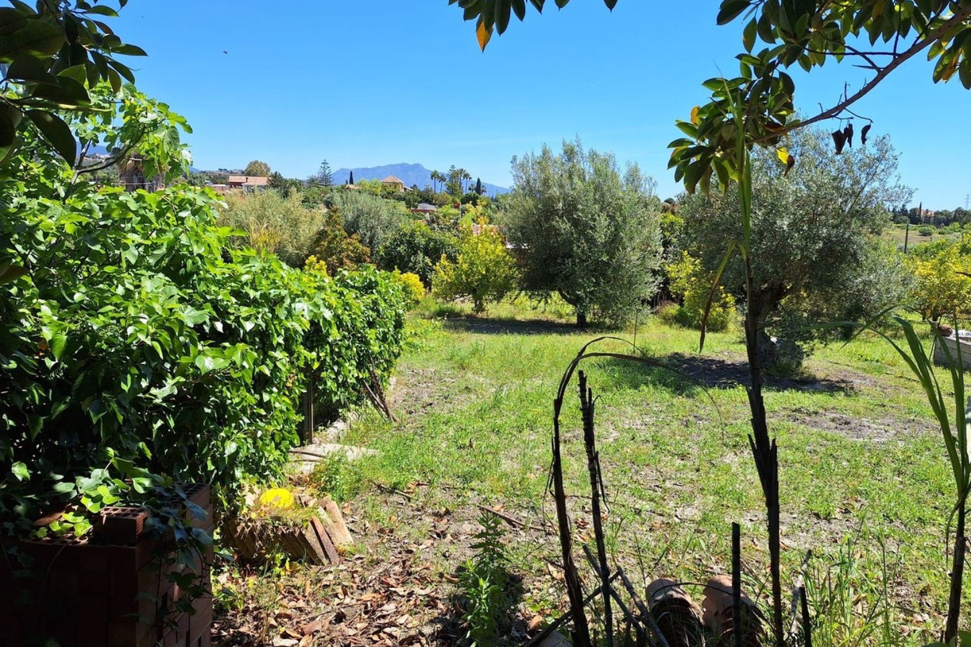 Neue Gebäude - Country house - Estepona - Estepona Centro
