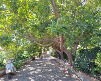 Neue Gebäude - Country house - Estepona - Estepona Centro