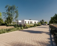 Neue Gebäude - Villa - Benejúzar - Benejuzar Centro