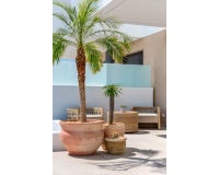 Neue Gebäude - Villa - Dolores - Dolores Centro
