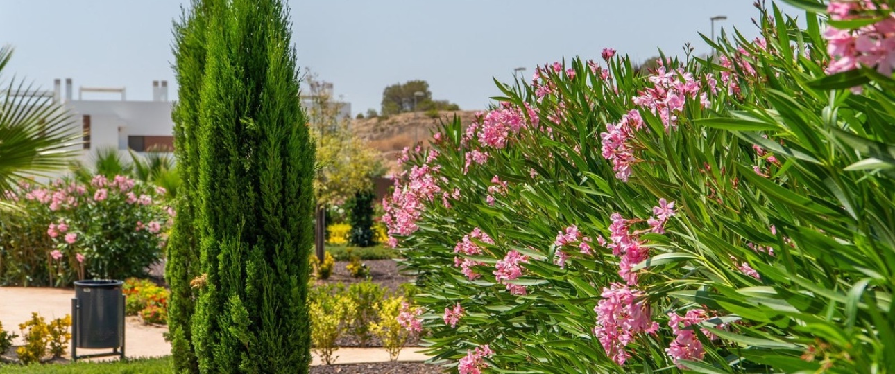 Neue Gebäude - Villa - Orihuela - Vistabella Golf
