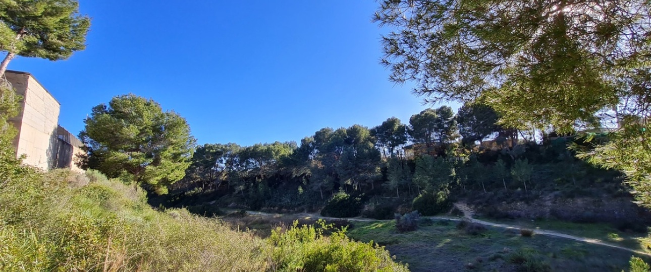 Neue Gebäude - Villa - Pilar de la Horadada - Pinar de Campoverde