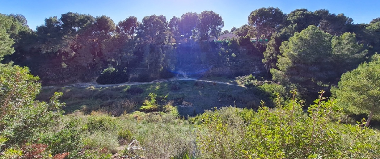 Neue Gebäude - Villa - Pilar de la Horadada - Pinar de Campoverde