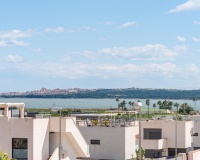 Neue Gebäude - Villa - Rojales - Ciudad Quesada