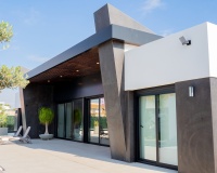 Neue Gebäude - Villa - Rojales - Rojales Centro