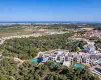 Neue Gebäude - Villa - San Miguel de Salinas - San Miguel de Salinas Centro