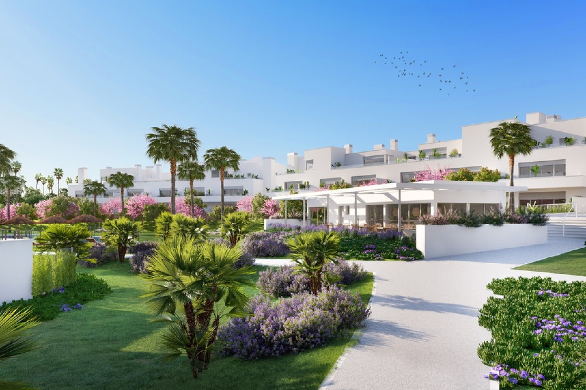 New Build - apartment - Estepona - Estepona Centro