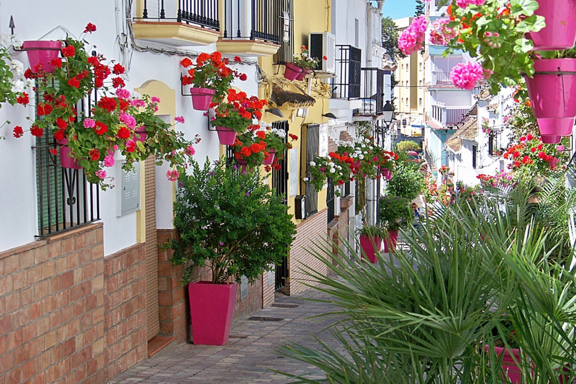 New Build - apartment - Estepona - Estepona Centro