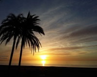 New Build - apartment - Estepona - Estepona Centro
