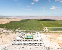 New Build - apartment - Torrevieja - Torrevieja Centro