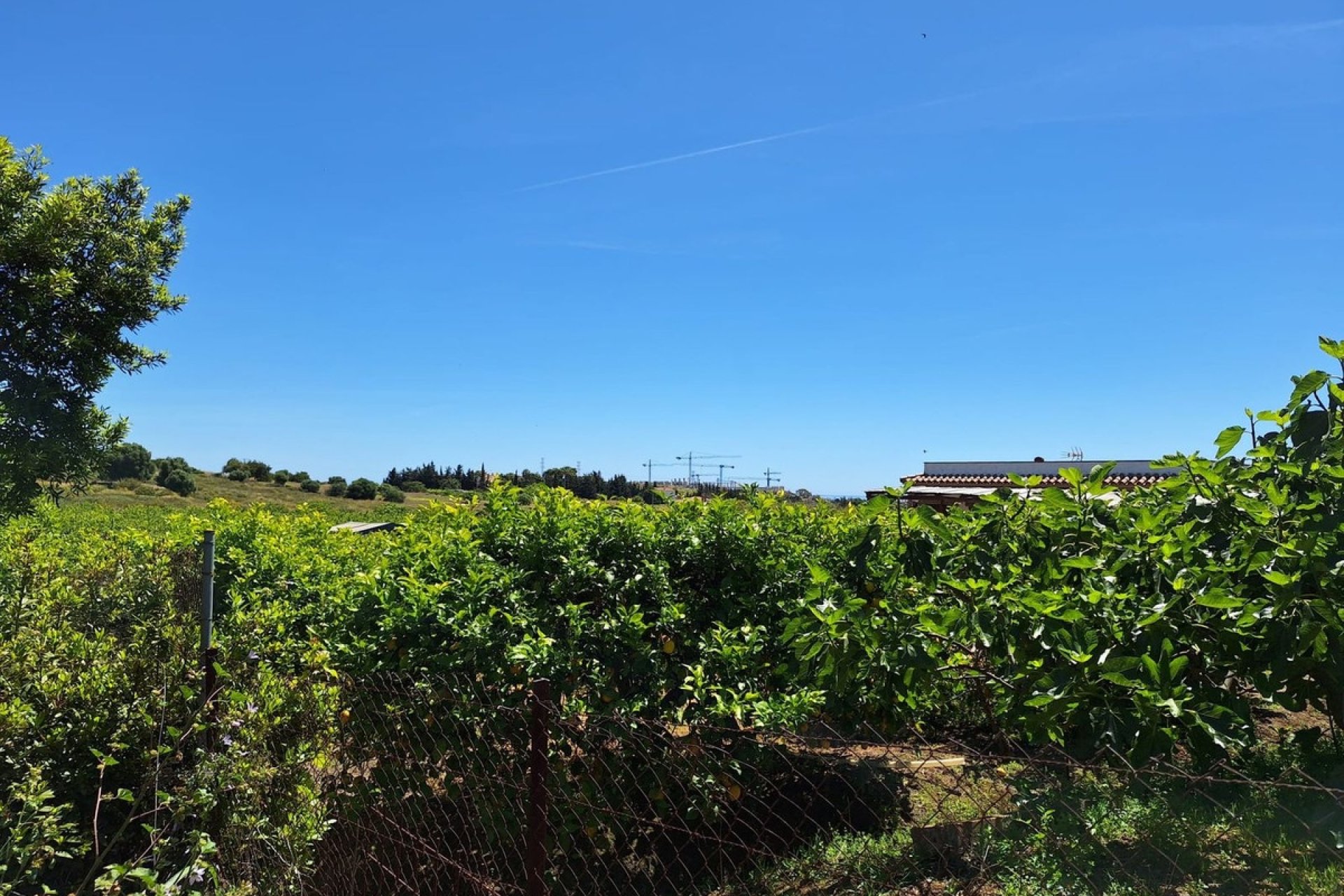 New Build - Country house - Estepona - Estepona Centro