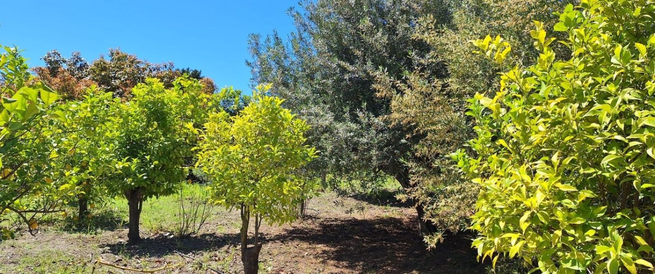 New Build - Country house - Estepona - Estepona Centro