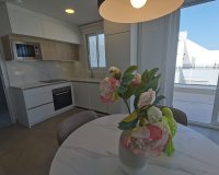 New Build - Penthouse - Torrevieja - Torrevieja - Playa de los Locos