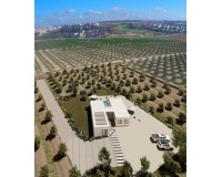 New Build - Villa - Algorfa - Algorfa Centro