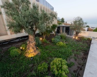 New Build - Villa - Casares - Casares Centro