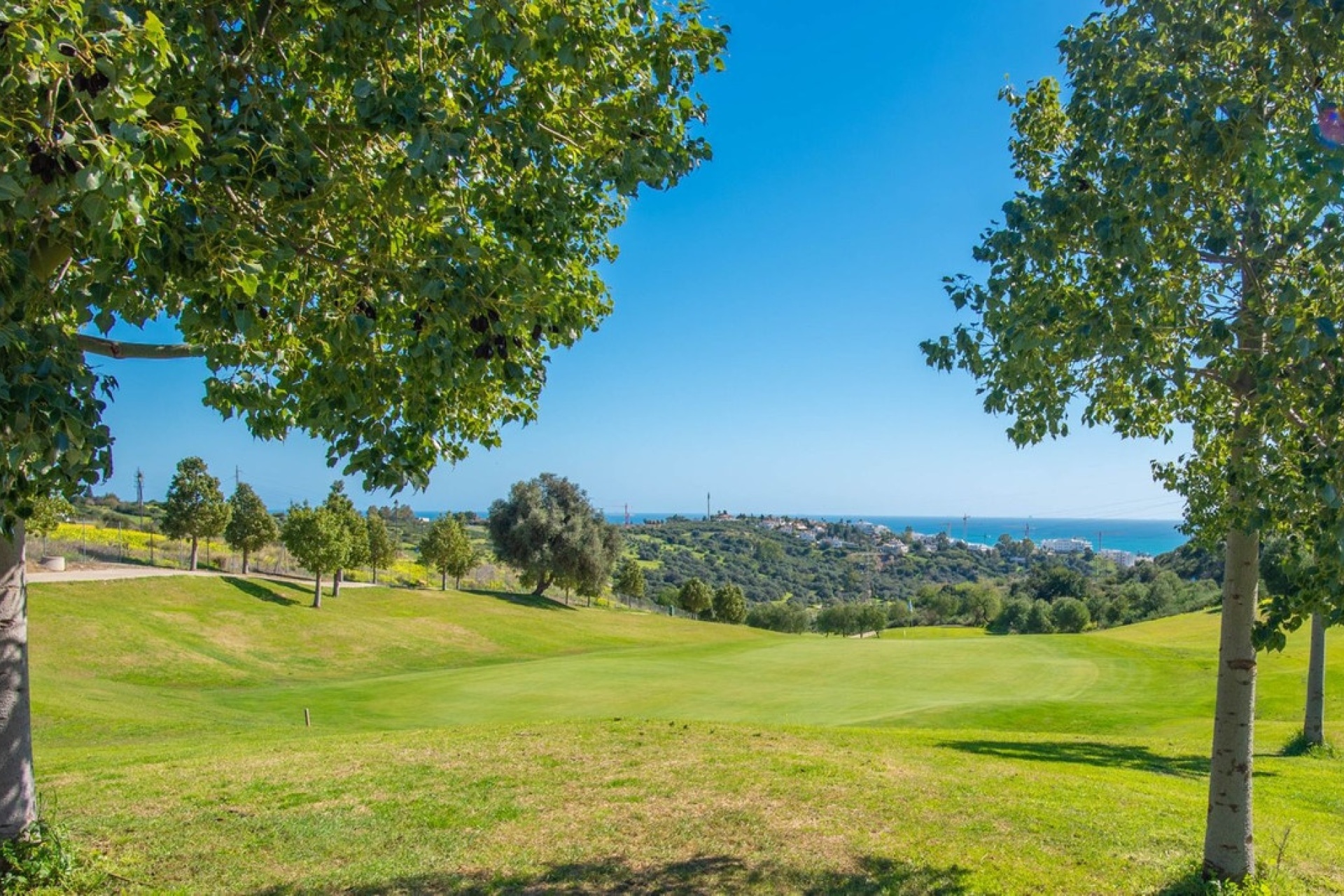 New Build - Villa - Estepona - Estepona Centro