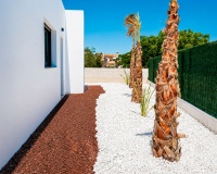 New Build - Villa - Los Montesinos - Los Montesinos Centro