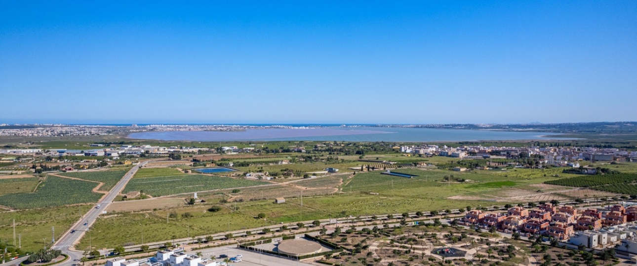 New Build - Villa - Los Montesinos - Los Montesinos Centro