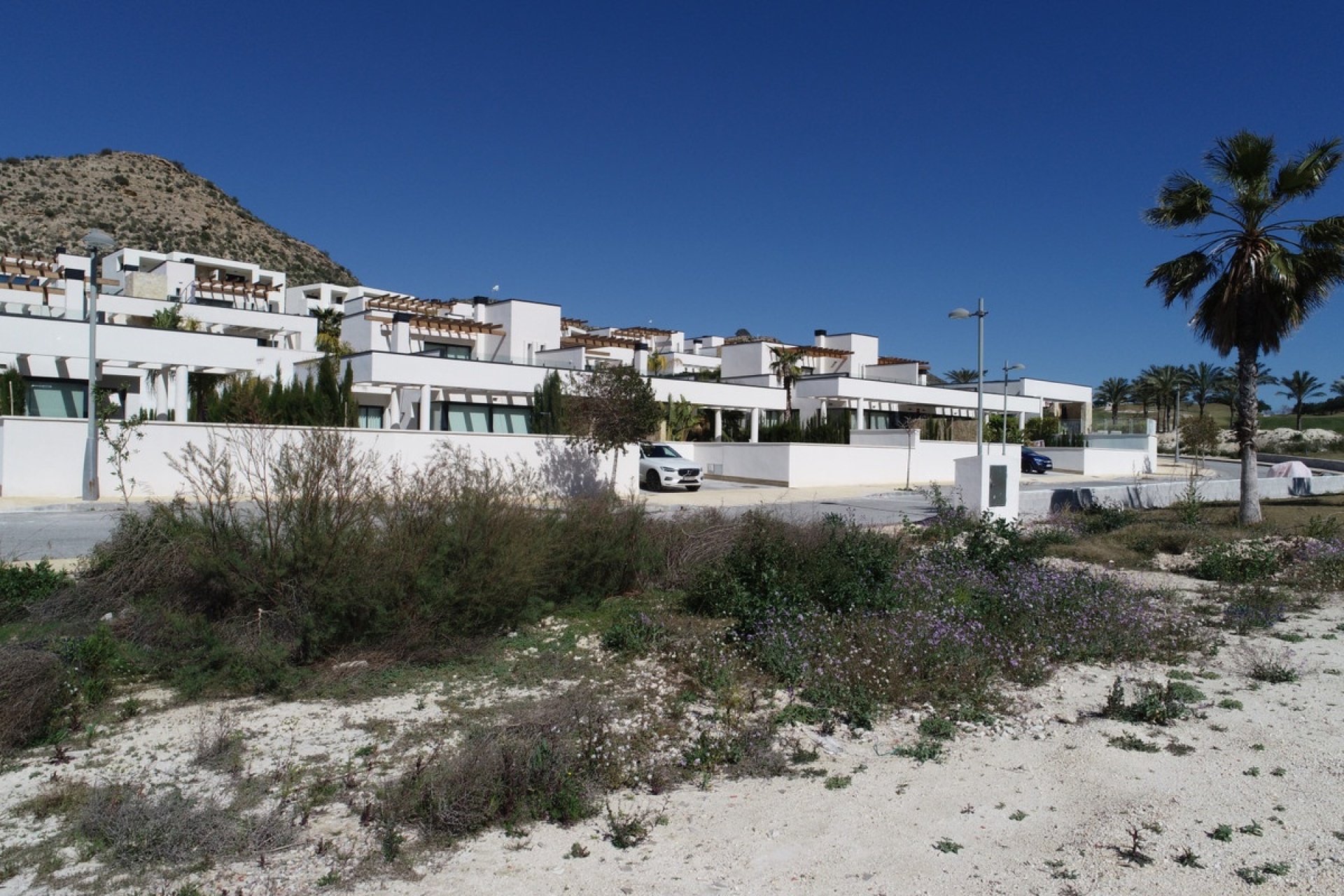 New Build - Villa - Monforte del Cid - Monforte del Cid Centro