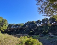 New Build - Villa - Pilar de la Horadada - Pinar de Campoverde