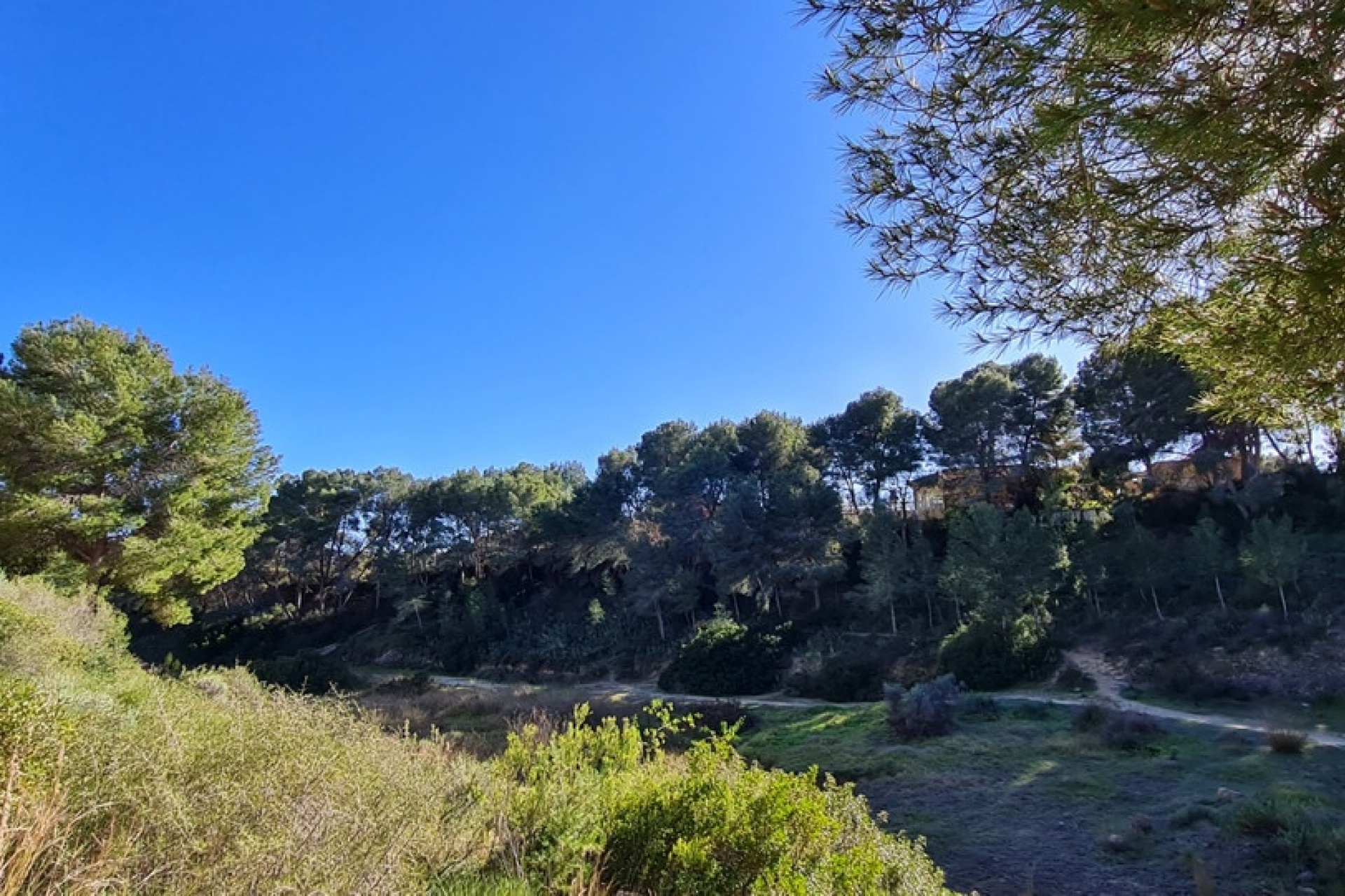 New Build - Villa - Pilar de la Horadada - Pinar de Campoverde