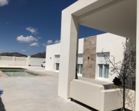 New Build - Villa - Pinoso - Pinoso Centro