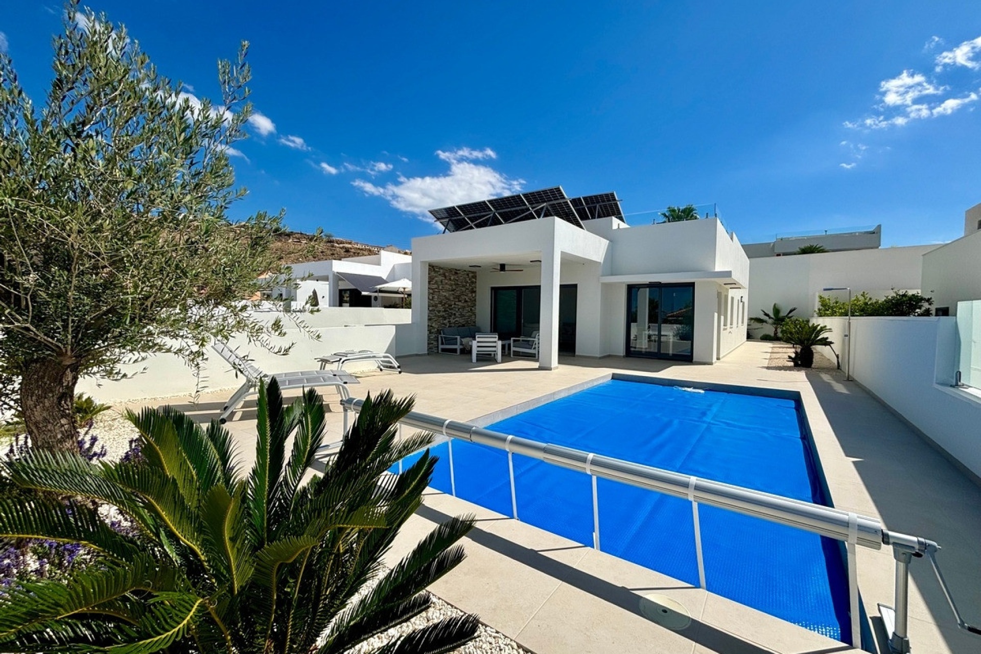 New Build - Villa - Rojales - Rojales Centro