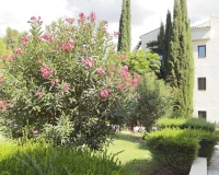 Resale - apartment - Benahavís - La Quinta