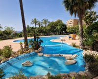 Resale - apartment - Benidorm - Benidorm Centro