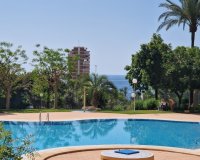 Resale - apartment - Benidorm - Benidorm Centro