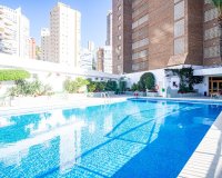 Resale - apartment - Benidorm - Benidorm Centro