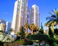 Resale - apartment - Benidorm - Benidorm Centro
