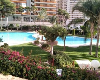 Resale - apartment - Benidorm - Benidorm Centro