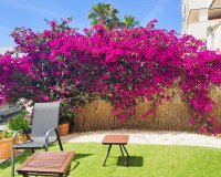 Resale - apartment - Casares - Casares Playa