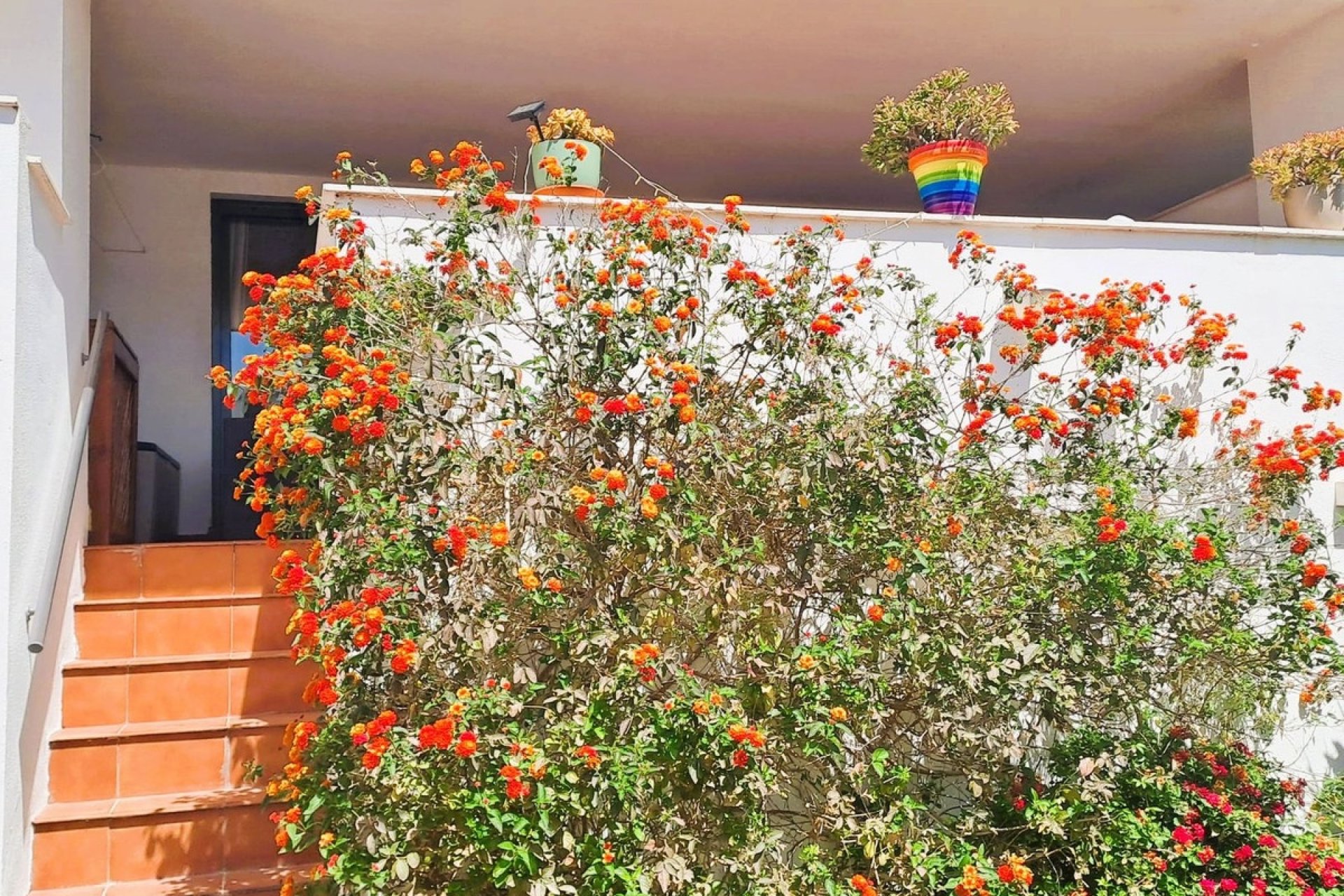 Resale - apartment - Casares - Casares Playa